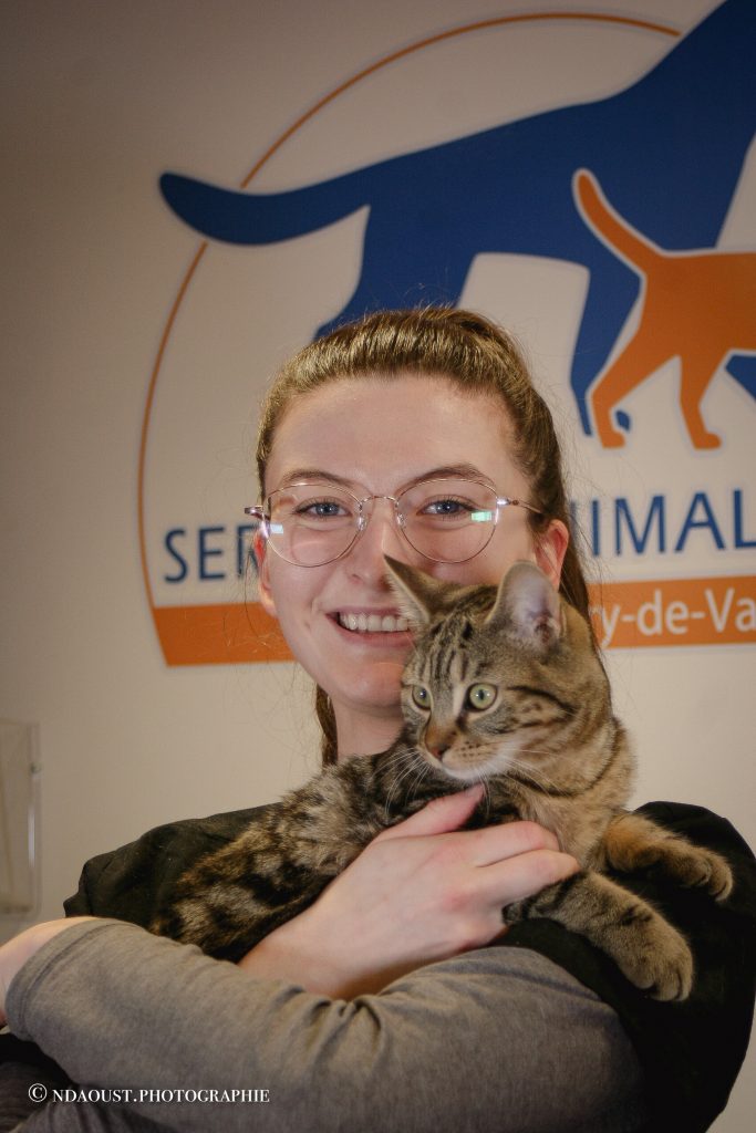 adoption reussies