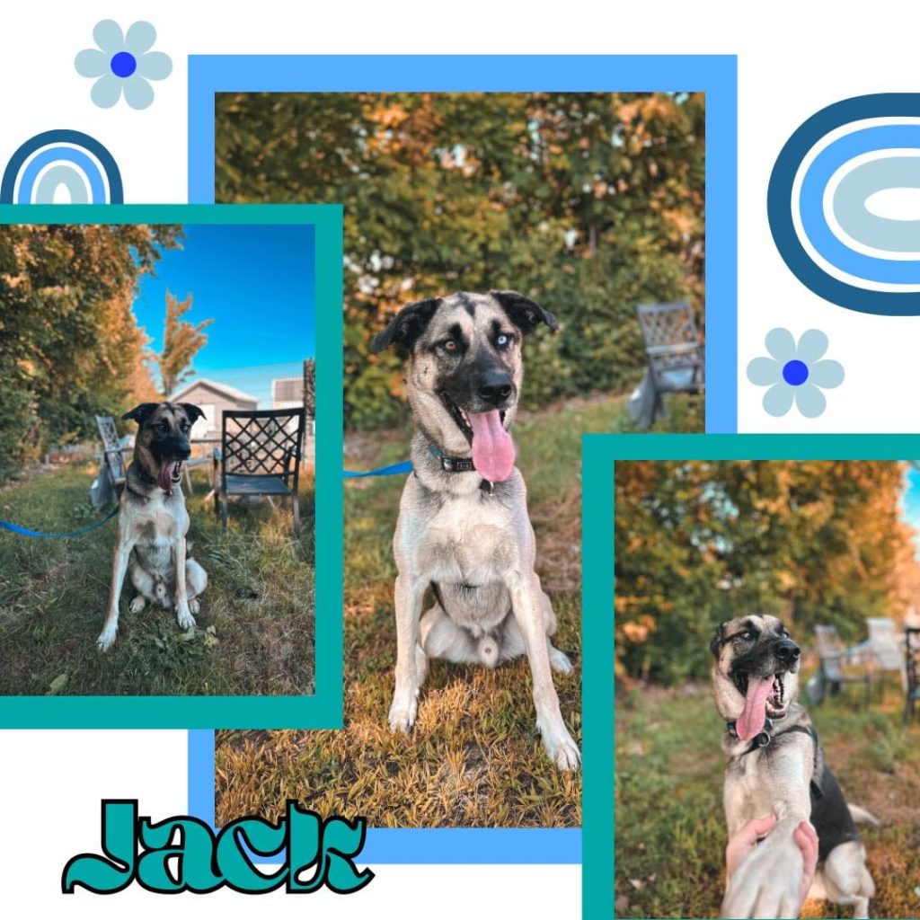 Jack