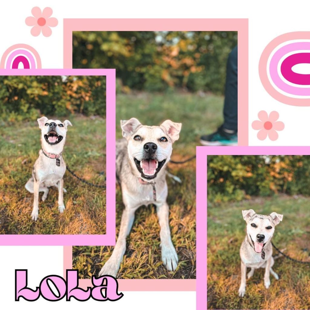 Lola