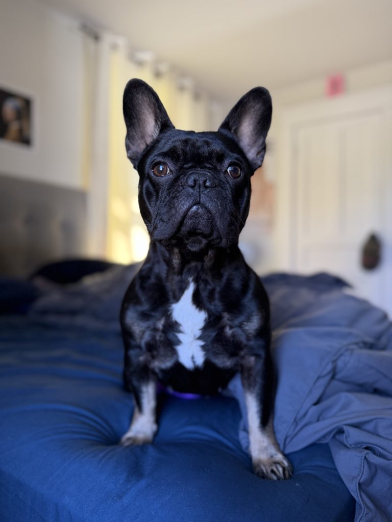 Peppa